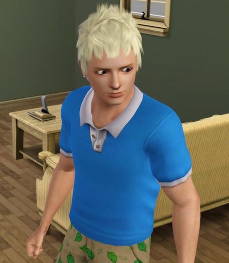 图片[2]-《模拟人生3》MOD 双胞胎美型 凌陌尘.凌陌枫-我爱模组网-GTA5MOD下载资源网