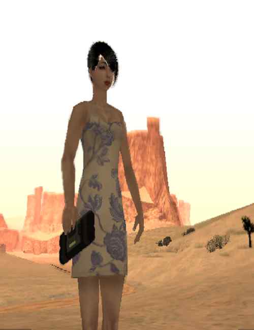 图片[13]-GTA 侠盗猎车 圣安地列斯 MOD 性感美女小姐姐合集 超强人物包-我爱模组网-GTA5MOD下载资源网