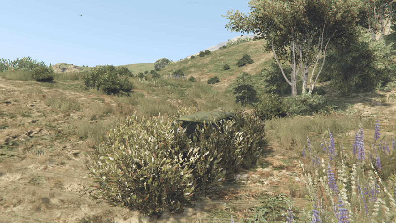 图片[11]-[GTA5MOD]荷兰人趣味载具包1.0.6-我爱模组网-GTA5MOD下载资源网