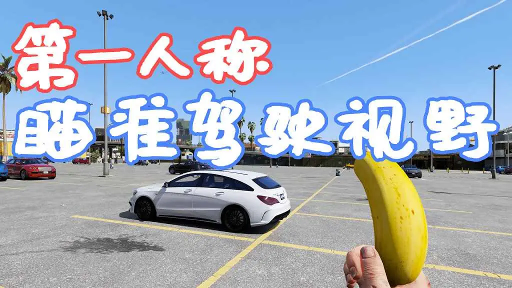 GTA5 第一人称 瞄准驾驶 视野 FoV MOD 覆盖版【5.16MB】-我爱模组网-GTA5MOD下载资源网